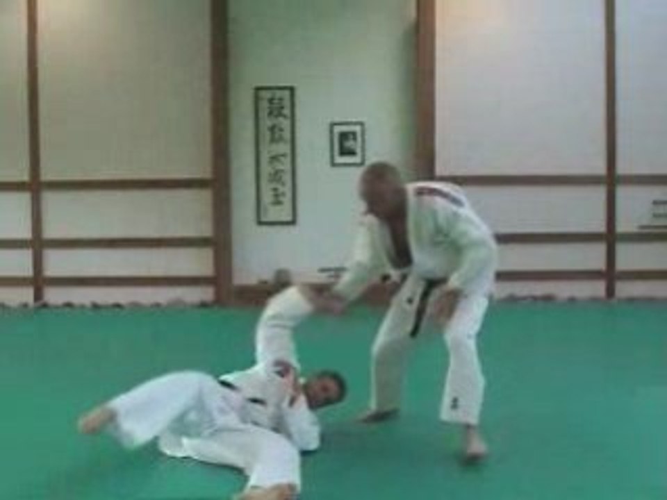 Ju-Jitsu / Ude hishigi waki gatame