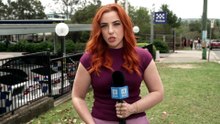 Police continuing to investigate following drive-by shooting south of Brisbane