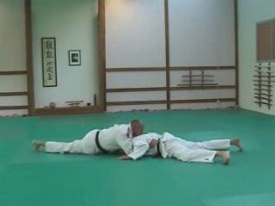 Ju-Jitsu / Ude hishigi waki gatame