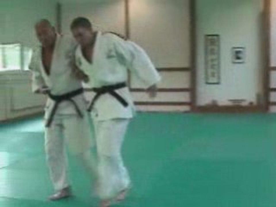 Ju-Jitsu / Ude hishigi waki gatame