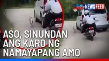 Aso, sinundan ang karo ng namayapang amo | GMA News Feed