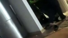 Kısmetse Olur fenomeni Eftelya Tekçi'den şiddet iddiası! Süreç yargıya taşındı