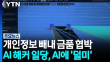 개인정보 빼내 금품 협박...AI 해커 일당, AI에 '덜미' / YTN