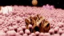 3D Animation Studio | Documentary Animation | Mediafreaks