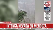 En pleno octubre: intensa nevada sorprendió a todos en Mendoza