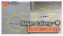 雪邦度假胜地峇眼拉浪海滩 有鳄鱼出没？