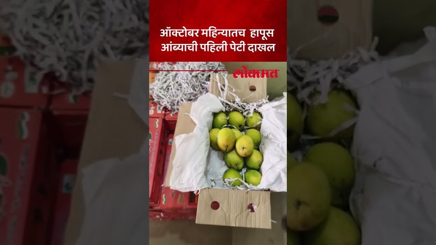 Kolhapur : एकीकडे ऑक्टोबर हिट तर दुसरीकडे कोल्हापुरकरांसाठी बाजारात फळांचा राजा 'आंबा' दाखल