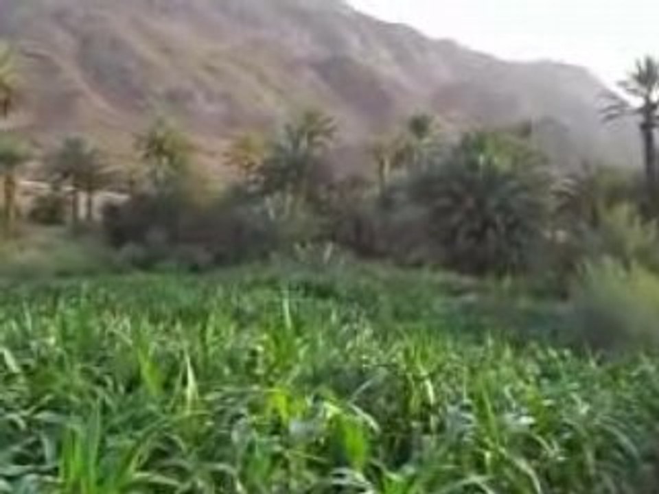 magnifique vidéo  TANSIKHTE