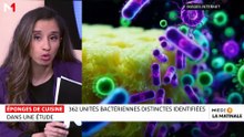 Sciences & Nous : 362 unités bactériennes distinctes identifiées dans les éponges de cuisine