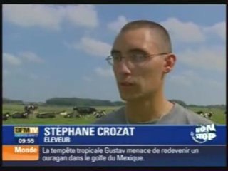 La maladie de la langue bleue ou fièvre catarrhale ovine