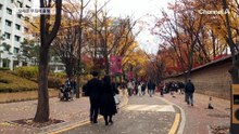 서울서 지지율 오른 국민의힘…경기서 빠진 민주당