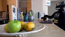 Negli Stati Uniti il robot umanoide che pulisce casa per 26 euro l'ora