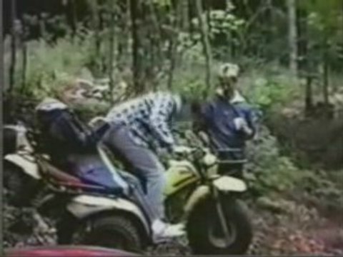 Quads, motorbikes and boats