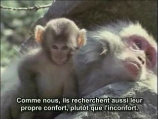 enculer ca fait reflechir