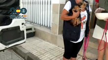 Rescatan a 61 perros y gatos maltratados, varios recluidos en muebles de cocina, en Málaga