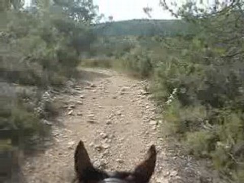 Collines de Saint Cannat massif des 4 termes (2)