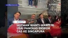 Wanti-Wanti Hotman Paris ke RI Soal Pangkas Gas ke Singapura: Jangan Sampai Digugat!