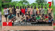 Orpaillage illégal : 187 personnes interpellées dans les parcs de Taï et du Cavally