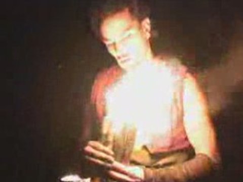 Les échassiers venus d'ailleurs