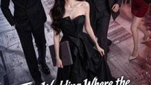 The Wedding Where the Truth Walked In Film HD