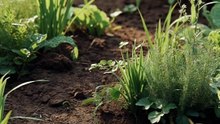 🌱 Bagh Ki Mitti Mein Chhupe Yeh Jandar Dost Hain Ya Dushman? 😱 | Gardening Tips 💚