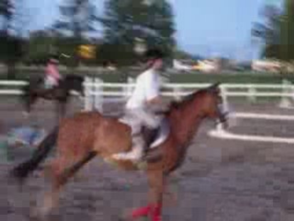 Mirja et Funny Face en saut