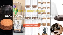 Glass Dome Cloche Every Jewelry Seller Needs