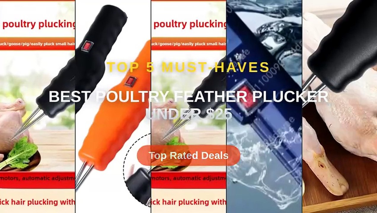Best Poultry Feather Plucker Under $25 - Video Dailymotion