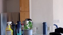 El robot humanoide que limpia la casa por 26 euros la hora ya entra en los hogares de San Francisco