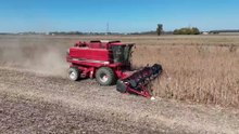 “I’M NOT A FAN ANYMORE” Trump Voters in Michigan Hit by Soaring Farm Costs