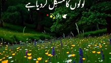 لوگ کیا کہیں گے؟