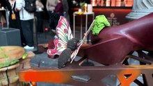 Jesús Quirós busca ser el mejor chocolatero del mundo