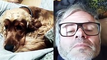 ¿El - perrito más sociable de todos? ¡Quiere ser tu amigo! 🐾🐶