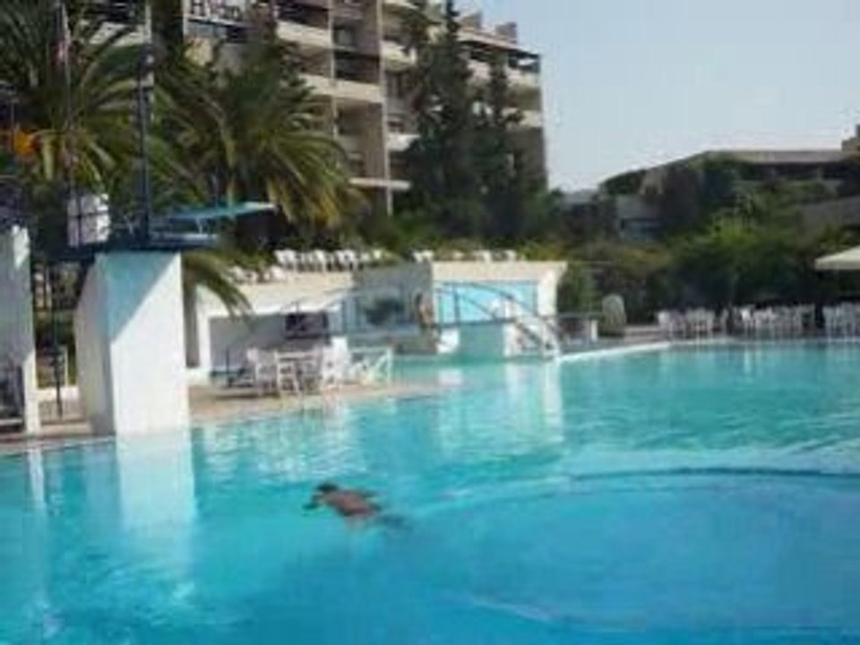Portohydra_skal_dive