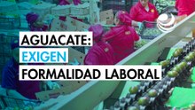 Condicionan permiso de exportación agrícola a la formalización laboral de los proveedores