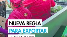 Condicionan permiso de exportación agrícola a la formalización laboral de los proveedores