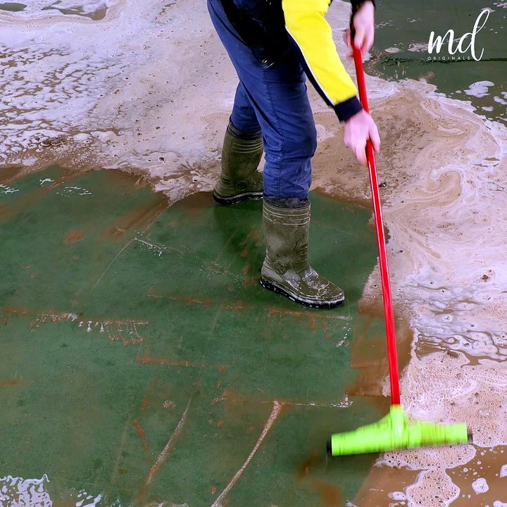 A satisfying rug cleaning transformation! - video Dailymotion