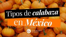 Tipos de calabaza en México