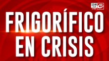 Frigorífico en crisis: adeudan los salarios de más de 500 empleados