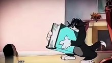 Biggest Lies of our life! 😂 | Relatable Universal Jokes | Tom and Jerry Meme