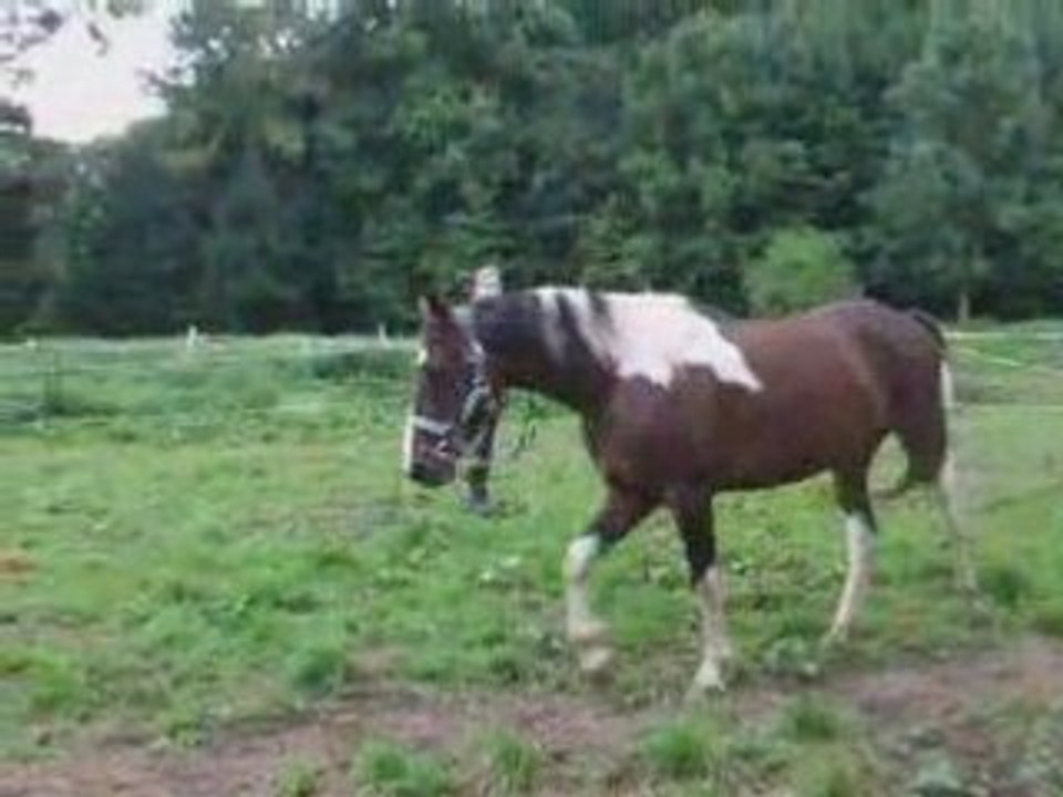 Aout28 2008 eme cours longé moi et indianna