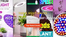 Best Plant Growth Lamp Under $20
