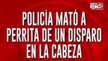 Policía desalmado fusiló a quemarropa a la perrita de la comisaría