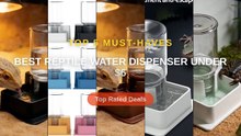 Best Reptile Water Dispenser Under $6