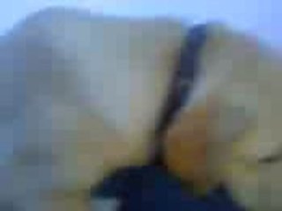 0831081539-00