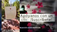 Me llamaron fea, ahora se arrepentirán (Doblado) Completa