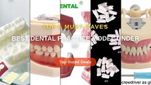 Best Dental Practice Model Under $7