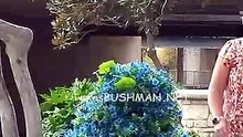Bushman Prank : i'm sorry i cursed...