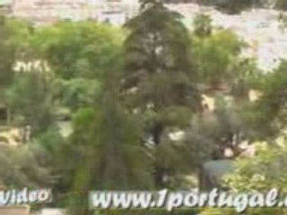 Jardim Zoologico de Lisboa - Agosto 2008 - 6