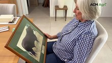 Droughtmaster breeder looks back at 81 years in the industry